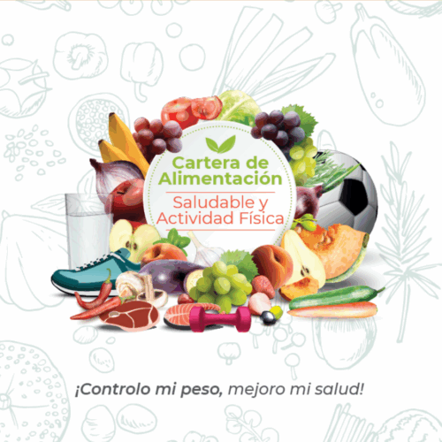 Plan Nutricional Digital Personalizado (PDF)